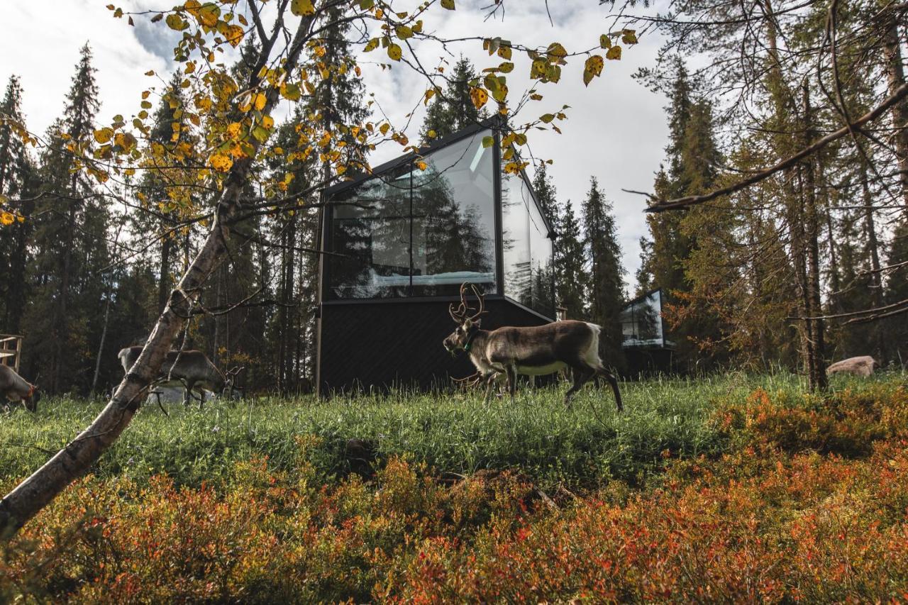 Magical Pond Nature Igloos Ruka Eksteriør bilde
