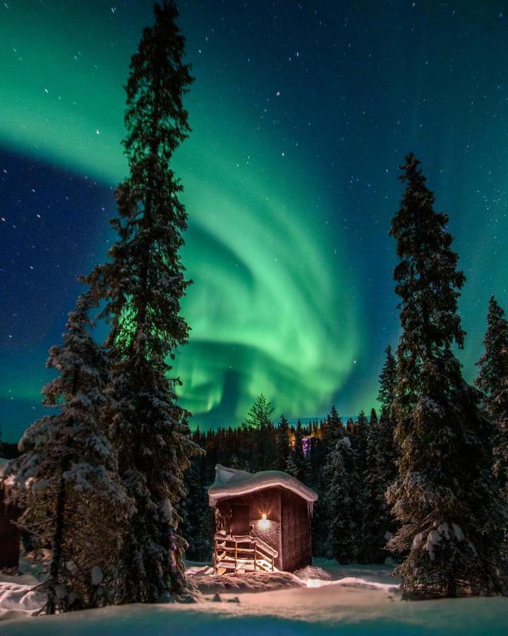 Magical Pond Nature Igloos Ruka Eksteriør bilde